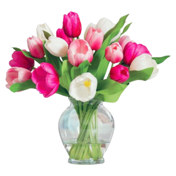 Sugar Blossom Tulips